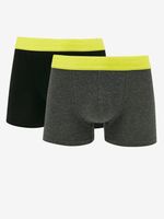 Replay Boxershorts 2 Stück Grau