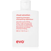 EVO Repair Ritual Salvation stärkendes Shampoo für beschädigtes und coloriertes Haar 300 ml