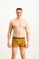 Men's boxers Frogies Zodiac Bika