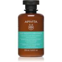 Apivita Oily Roots & Dry Ends Oily Roots & Dry Ends Shampoo šampon za mastno lasišče in suhe konice las 250 ml