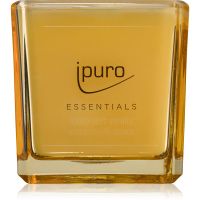 ipuro Essentials Soft Vanilla aроматична свічка 125 гр