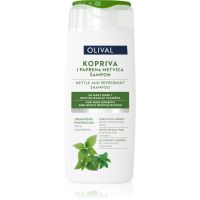 Olival Treatment Nettle and Peppermint Kräutershampoo mit Pfefferminz 250 ml