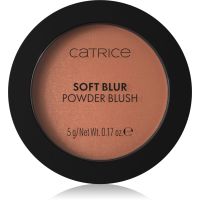 Catrice Soft Blur Powder Brush pudrowy róż z matowym wykończeniem odcień 050 Born to blonze 5 g