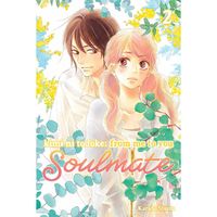 Manga Viz Media Kimi ni Todoke: From Me to You - Soulmate 2