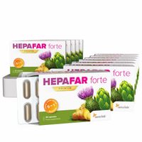 6-mesečni Hepafar forte PREMIUM