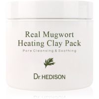 Dr. HEDISON Real Mugwort oczyszczająca maseczka do twarzy z glinką 265 ml