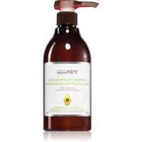 Saryna Key Anti Dandruff Shampoo gegen Schuppen 500 ml