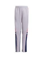 ADIDAS PERFORMANCE Sportske hlače 'Squadra 25'  morsko plava / sivkasto ljubičasta (mauve) / tamno crvena