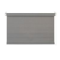 Homeware ROLETA, polopriehľadné, 60/160 cm