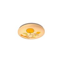 DETSKÉ STROPNÉ LED SVIETIDLO, 37.5/5.5 cm