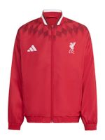 ADIDAS PERFORMANCE Sportska jakna 'FC Liverpool Stadium'  crvena / bordo / bijela