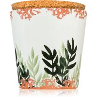 Wax Design Fig Leaf ароматна свещ 10 см