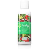 Helan I SORBETTI DI HELAN FicoPop Concentrated Shower Shampoo gel za prhanje in šampon 2v1 150 ml