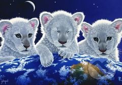 Schim Schimmel - Secret, Mystery and Hope - puzzle z kategorie Umělecké