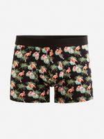 Celio Giboflaman Boxer-Shorts Schwarz