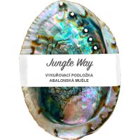 Jungle Way Abalone Shell podstawka do kadzidełek 1 szt.