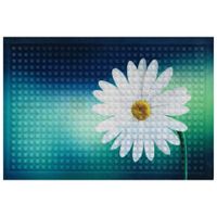 DVEŘNÍ ROHOŽKA, 40/60 cm