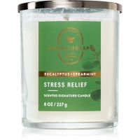 Bath & Body Works Stress Relief Eucalyptus & Spearmint aроматична свічка Stress Relief 227 гр