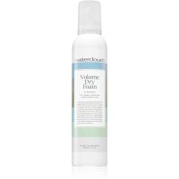 Waterclouds Volume Dry Foam Trockenshampoo-Schaum für mehr Volumen 250 ml