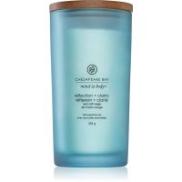 Chesapeake Bay Candle Mind & Body Reflection & Clarity Duftkerze 355 g