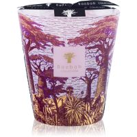 Baobab Collection Sacred Trees Massasso aроматична свічка 1000 гр