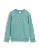 TOM TAILOR Sweater majica  limun / menta / crna