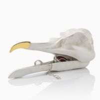 Schmuckbox (Dekoration) SUCK UK - BIRD SKULL