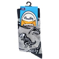 Farebné ponožky - Dinosaury ALBI