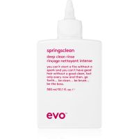 EVO Curl Springsclean tiefenreinigendes Shampoo für welliges und lockiges Haar 300 ml