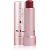 Teaology Tea Balm feuchtigkeitsspendender Balsam-Stick für die Lippen Farbton Berry Tea 4 g