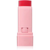 Astra Make-up IDENTISTICK кремові рум'яна у формі стіку 03 - Berry Being 1 кс