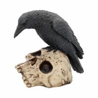 Dekoration Ravens Remains - NENOW