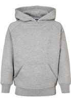 Boys Blank Hoody grey