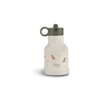 Citron Water Bottle 250 ml (Stainless Steel) пляшка для води з неіржавної сталі Dino 250 мл