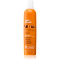 Milk Shake Moisture Plus hydratisierendes Shampoo für trockenes Haar 300 ml