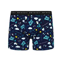 Men's boxer FRIENDS - Frogies