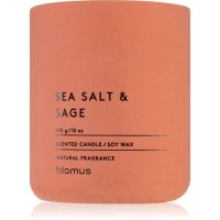 Blomus Fraga Sea Salt & Sag lumânare parfumată 290 g