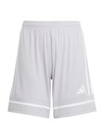 ADIDAS PERFORMANCE Sportske hlače 'Squadra 25'  siva / bijela