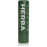 Herbadent Forte balzam za ustnice iz zelišč Herbal 5 ml