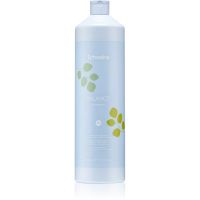 Echosline Balance Shampoo šampon za čišćenje protiv peruti 1000 ml
