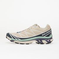 Sneakers Salomon XT-6 Tapioca/ Spellbound/ Lichen EUR 43 1/3