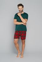 Men's pyjamas Narwik, short sleeves, short legs - green/print