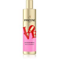 Pantene Pro-V Robert Indiana erneuerndes Shampoo für beschädigtes Haar 250 ml