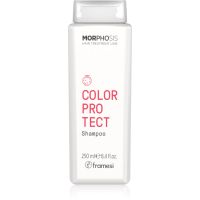 Framesi Morphosis Color Protect šampón pre normálne až jemné vlasy na ochranu farby 250 ml