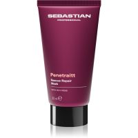Sebastian Professional Penetraitt Maske für beschädigtes, chemisch behandeltes Haar 30 ml