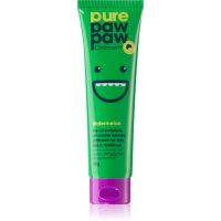 Pure Paw Paw Watermelon balzam za ustnice in za suhe predele 25 g