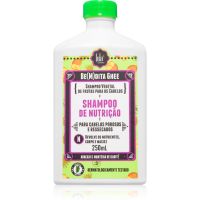 Lola Cosmetics BE(M)DITA GHEE SHAMPOO DE NUTRIÇÃO подхранващ шампоан За коса 250 мл.