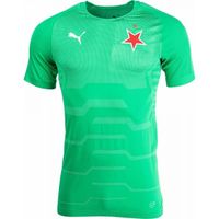 Puma SLAVIA FINAL EVOKNIT GK Мъжка блуза за вратари, зелено, размер
