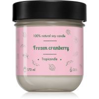 Tropicandle Frozen Cranberry aроматична свічка 170 мл