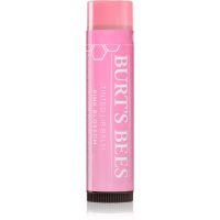 Burt’s Bees Tinted Lip Balm Lippenbalsam Farbton Pink Blossom 4.25 g